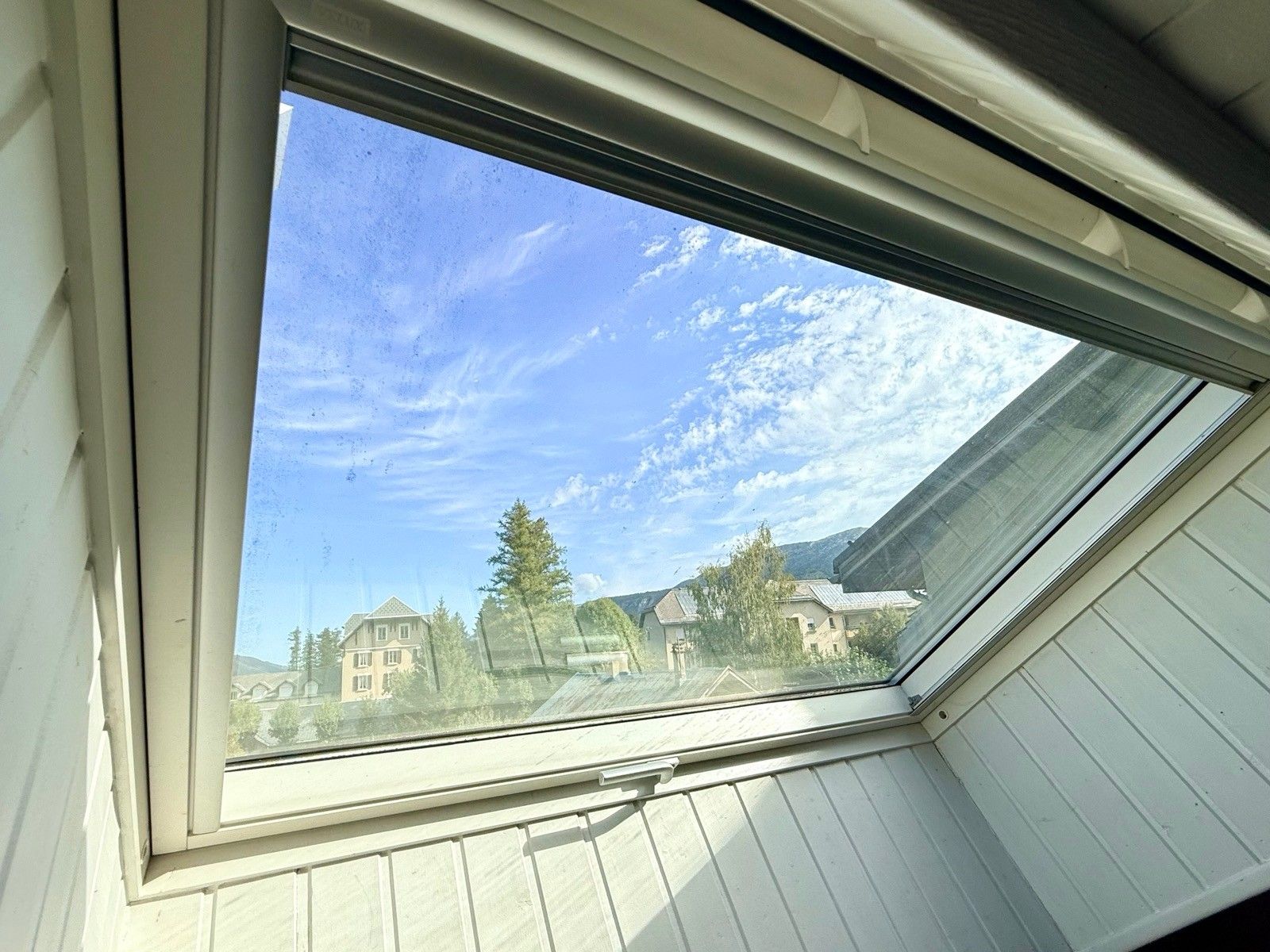 A skylight window with a view of houses and trees.