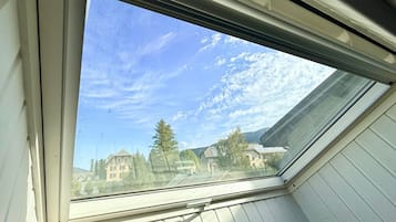A skylight window with a view of houses and trees.