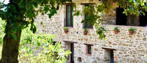 A stone building with multiple windows and potted plants on the exterior.