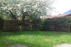 Ein Baum mit weißen Blüten in einer grünen Wiese, ein Holzzaun und ein Gebäude im Hintergrund.