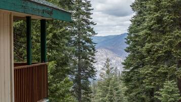 A wooden deck with a view of dense forest and distant mountains.