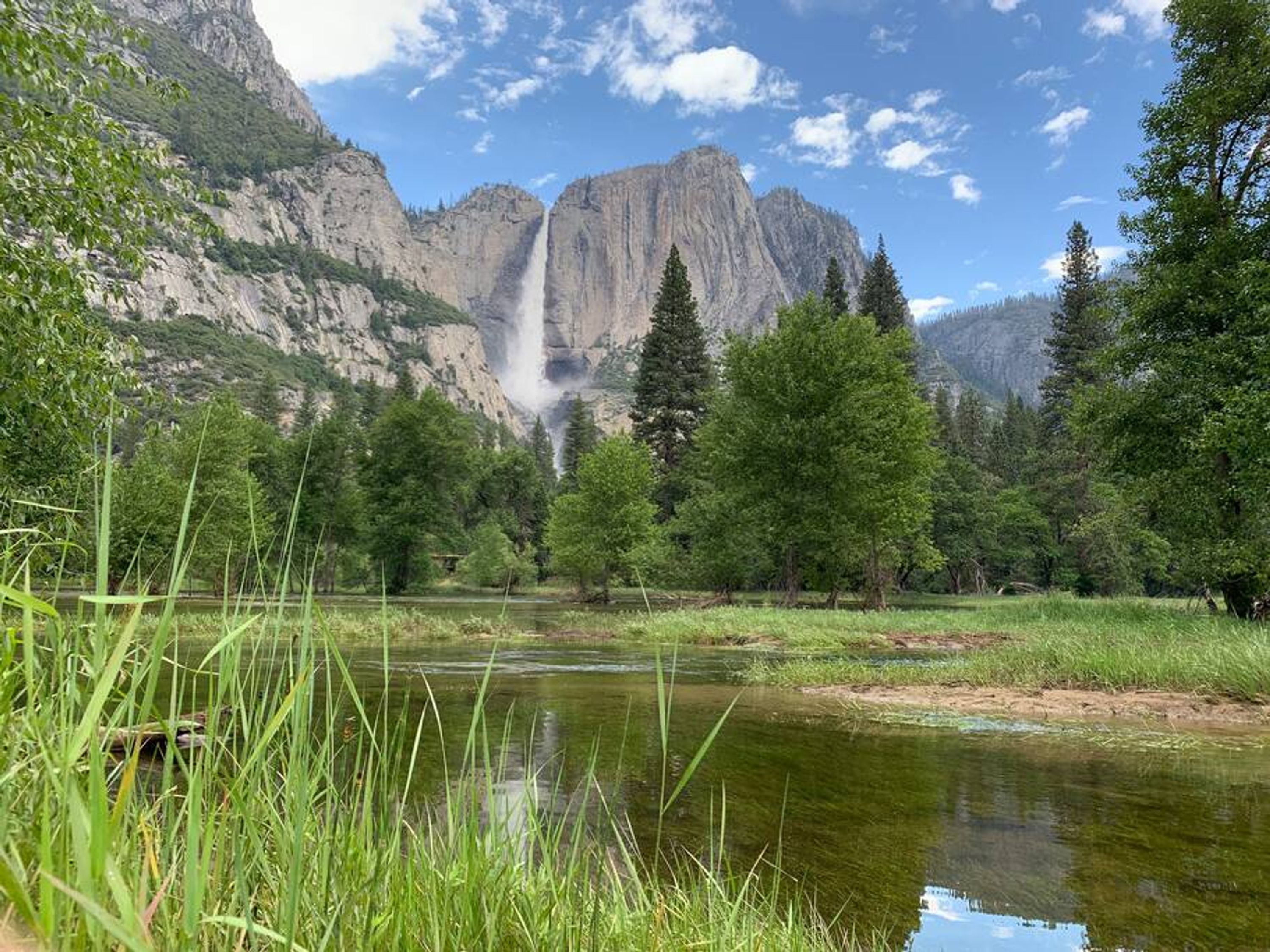 A natural landscape with a waterfall, trees, and a river.