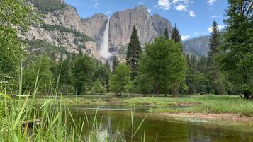 A natural landscape with a waterfall, trees, and a river.