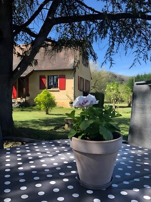 A potted plant with a white flower on a table with a polka dot pattern. - Holiday Home 'Le Perroudier' with Panoramic View of the Dordogne Valley (Vitrac)