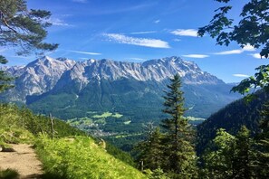 Eine Berglandschaft mit blauem Himmel, einem Feldweg und dichtem Wald.