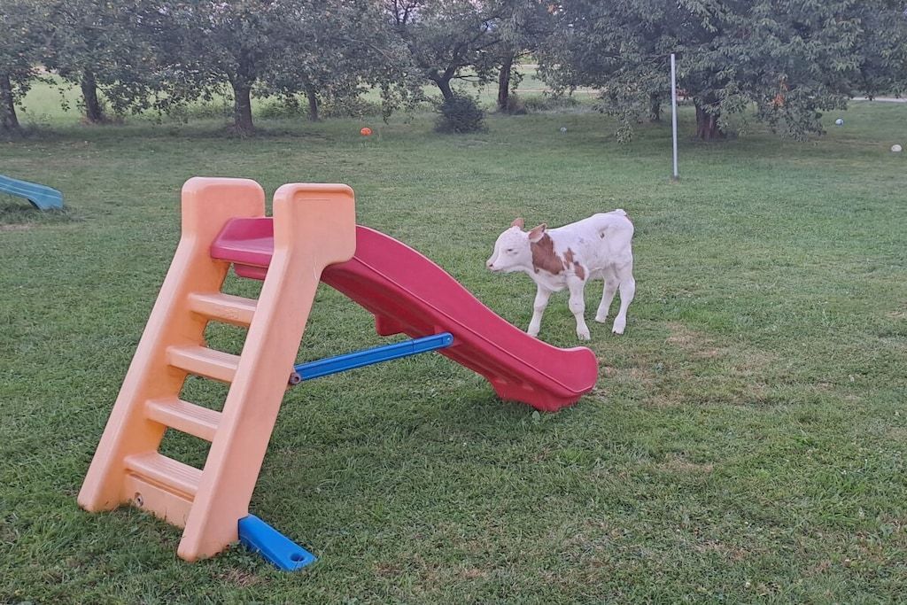 Ein Spielplatz mit einer Rutsche und einer Kletterleiter.