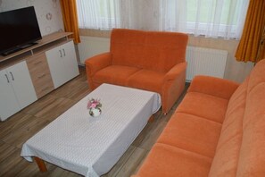 A living room with a sofa, a table with a vase, and a TV on a stand. - Holiday apartment with 2 bedrooms (Neuschoo)