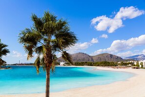 Ein Strand mit klarem türkisfarbenem Wasser, eine Palme im Vordergrund und Berge im Hintergrund.