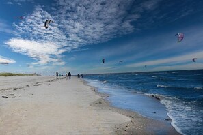 A beach with people and kites. - Holiday apartment with 2 bedrooms (Schillig)