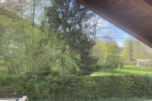 Une vue d’un jardin avec différents arbres et une structure en bois.
