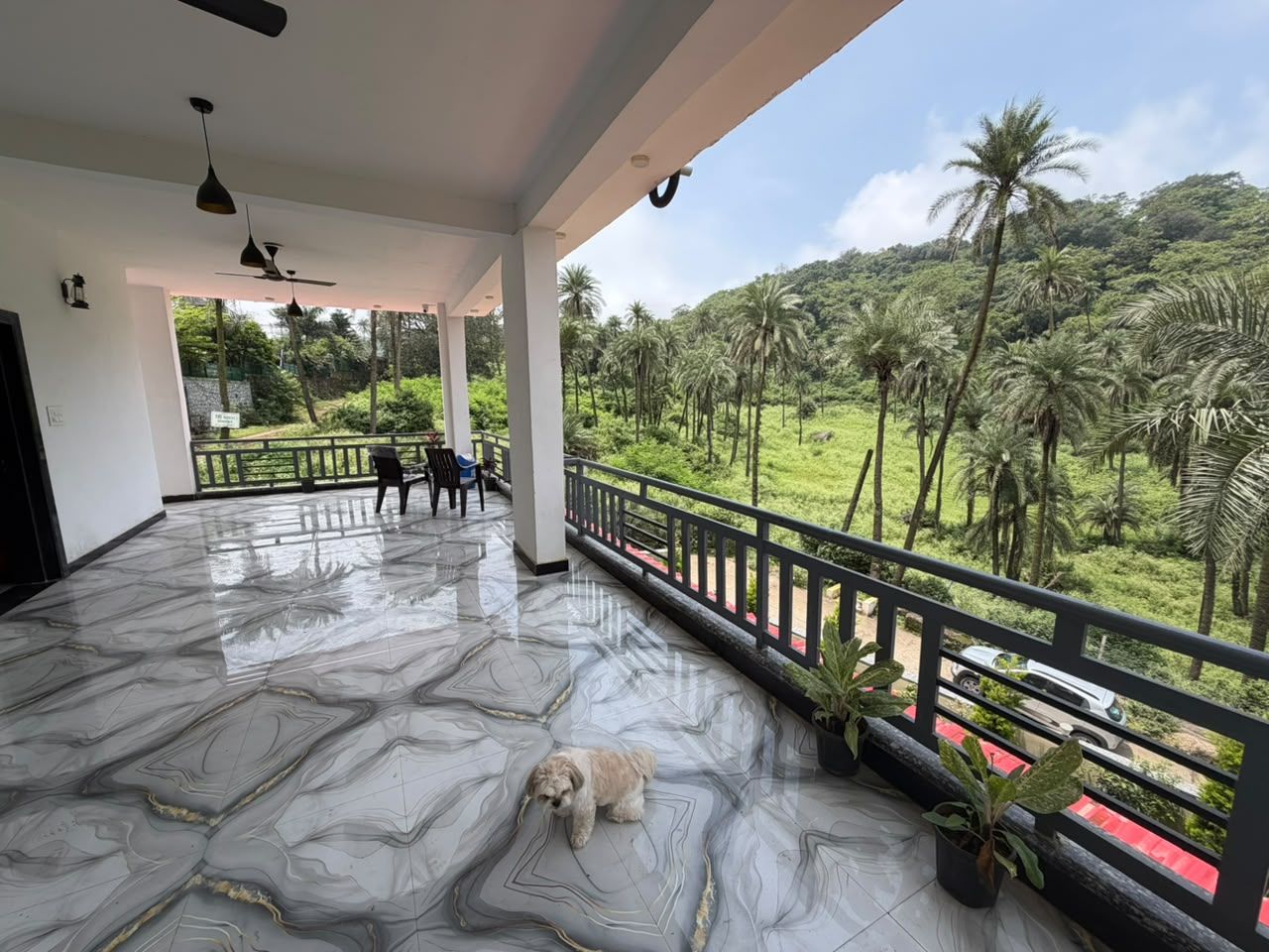 Un espacio al aire libre cubierto con piso de mármol, un perro y vistas a un paisaje verde exuberante con palmeras.