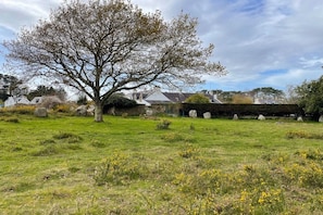 A grassy field with a large tree and a stone wall in the background. - Holiday home in Carnac with swimming pool (Carnac)