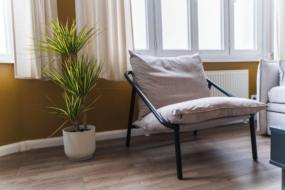 A room with a chair, a potted plant, and a window.