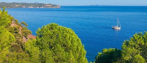 Un paisaje costero con vista despejada al mar, un barco y abundante vegetación verde.