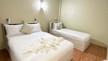 A hotel room with two beds, a wooden floor, a wall-mounted air conditioner, and a small potted plant.