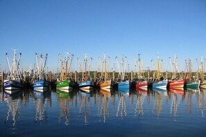 A marina with multiple boats docked in calm water. - Frisian house on Möwenweg (Norden-Norddeich)