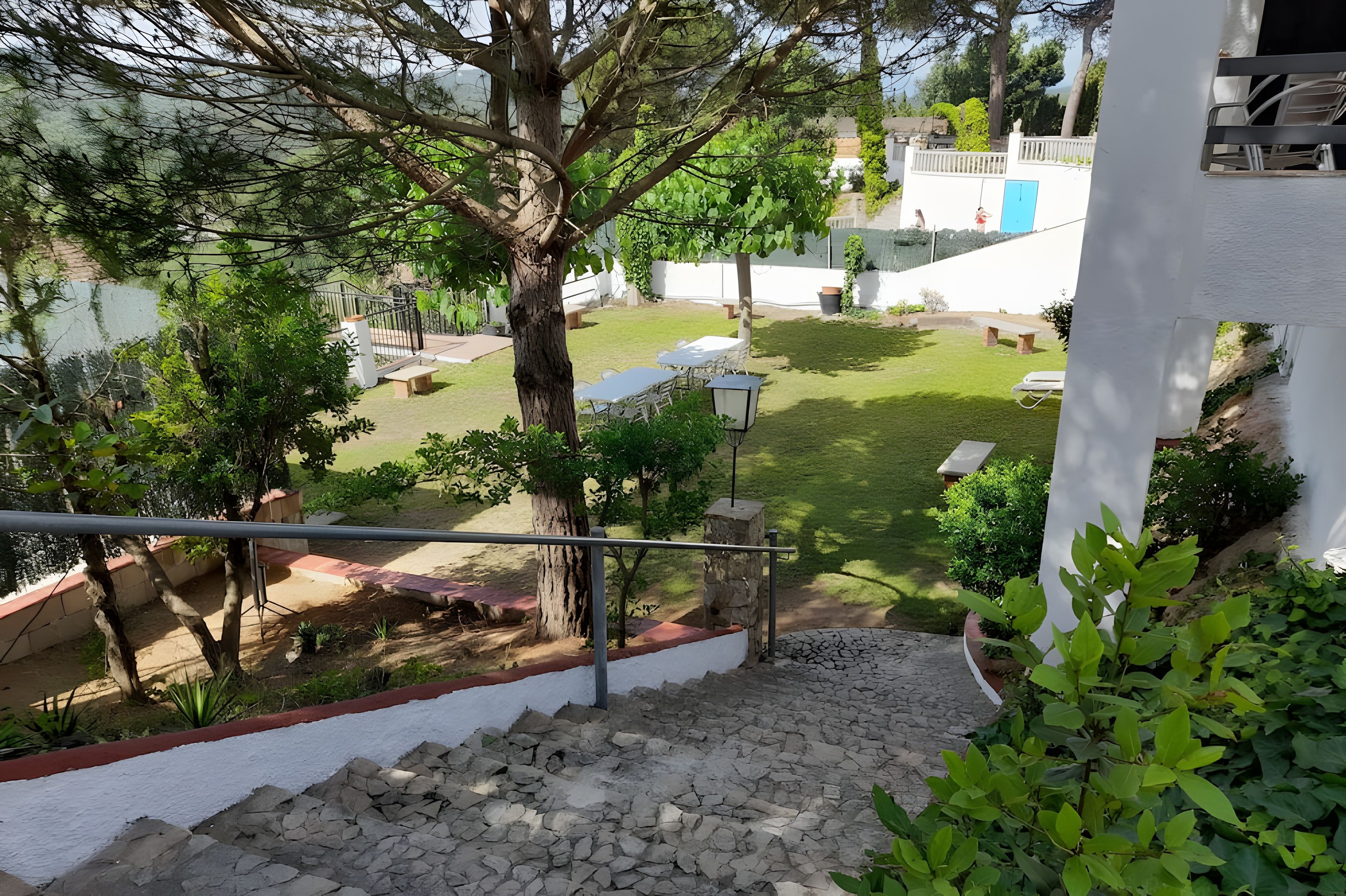 Un patio con una escalera de piedra que desciende, rodeado de follaje y un edificio blanco con una puerta azul.
