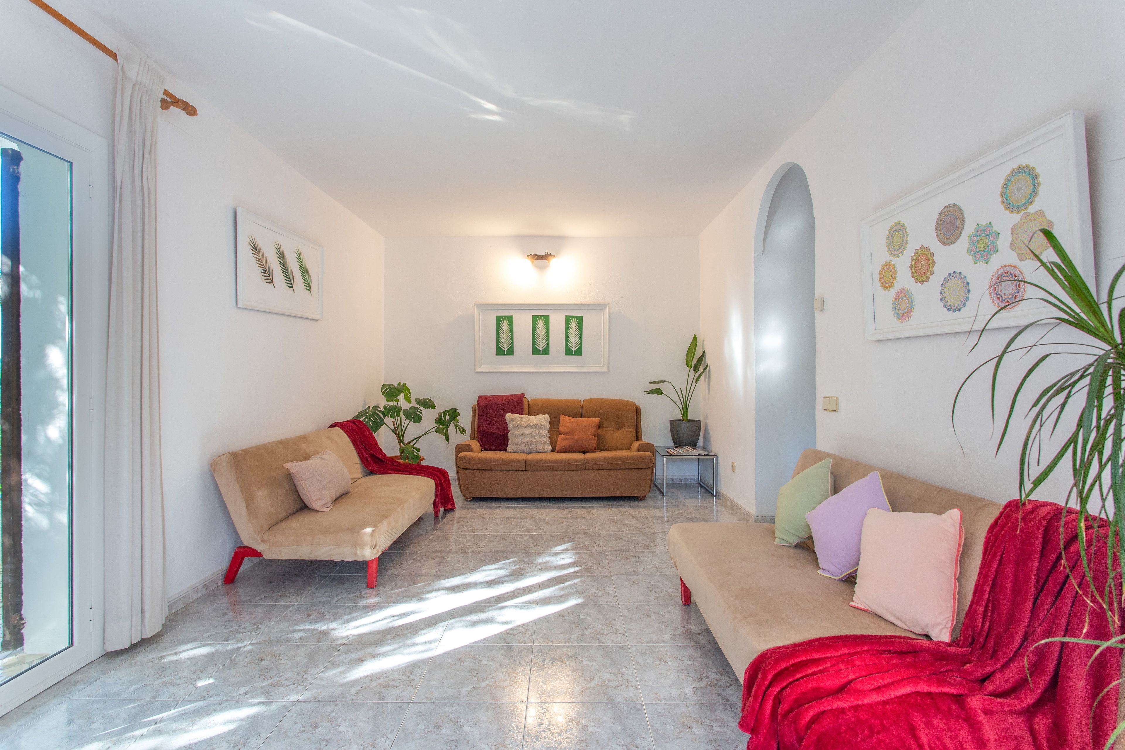 Una sala de estar con dos sofás, una mesa de centro y una planta en maceta.
