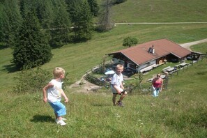 A rural house with a wooden exterior and a metal roof, surrounded by a grassy field and trees. - Chalet Tiroler Straße (Reit im Winkl)