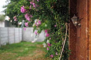 Un mur en bois orné d’une plante grimpante et d’un luminaire fixé au mur.