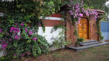 Ein Haus mit einer Holztür, einer weiß-braunen Wand und einem Garten mit lila Blumen.