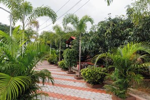 A pathway lined with potted plants and trees, leading to a building with a red roof.