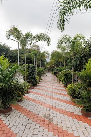 Nội thất