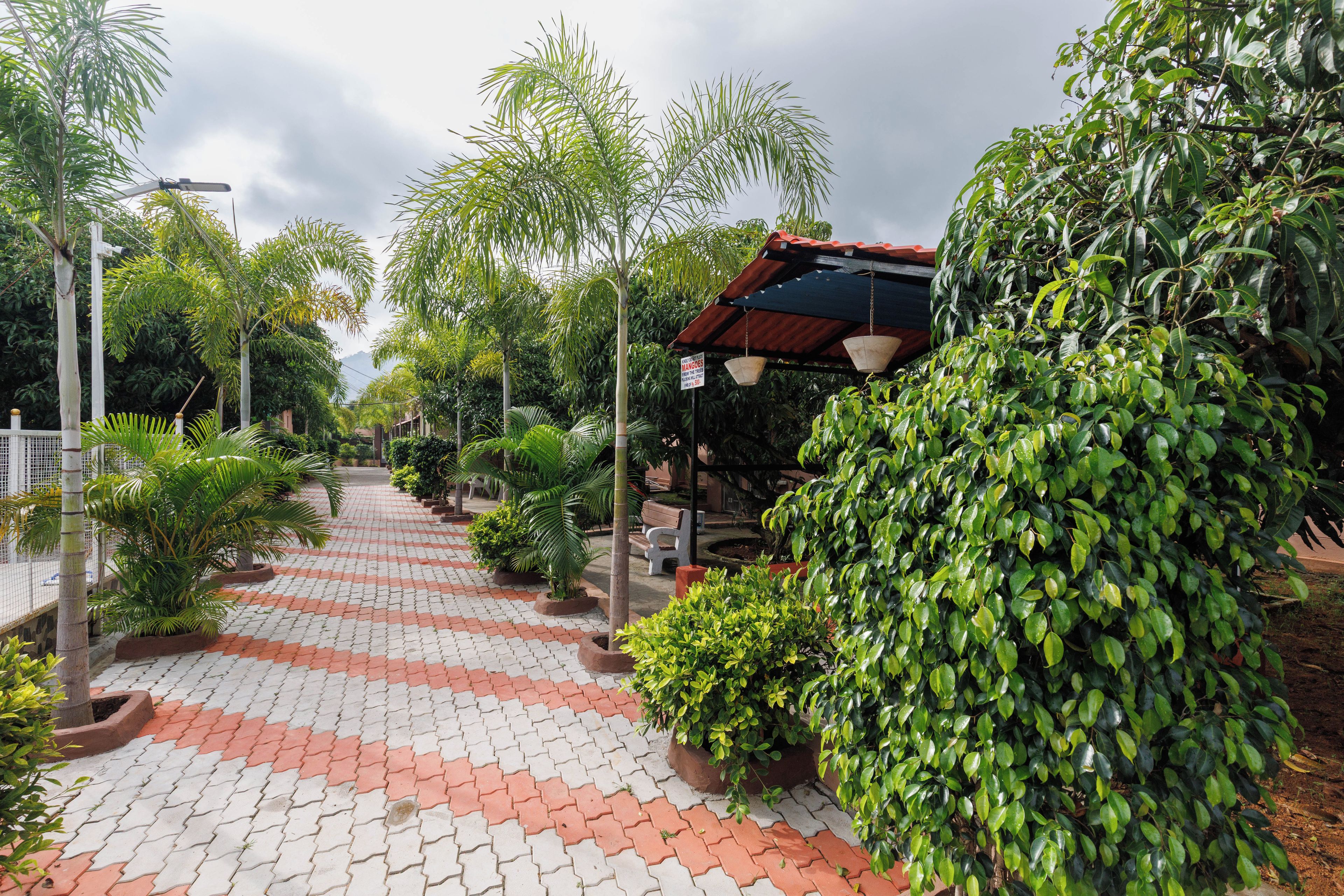 A pathway lined with potted plants and a covered seating area.