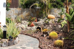 Un jardín con un sendero de piedra, distintas plantas y un cactus.