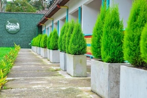 Un camino bordeado por setos verdes y podados, en macetas cuadradas, que conduce a un edificio con pared verde y un letrero que dice 'MOMOTUS'.