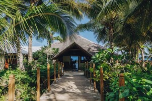 A wooden pathway leading to a thatched-roof structure surrounded by lush greenery.