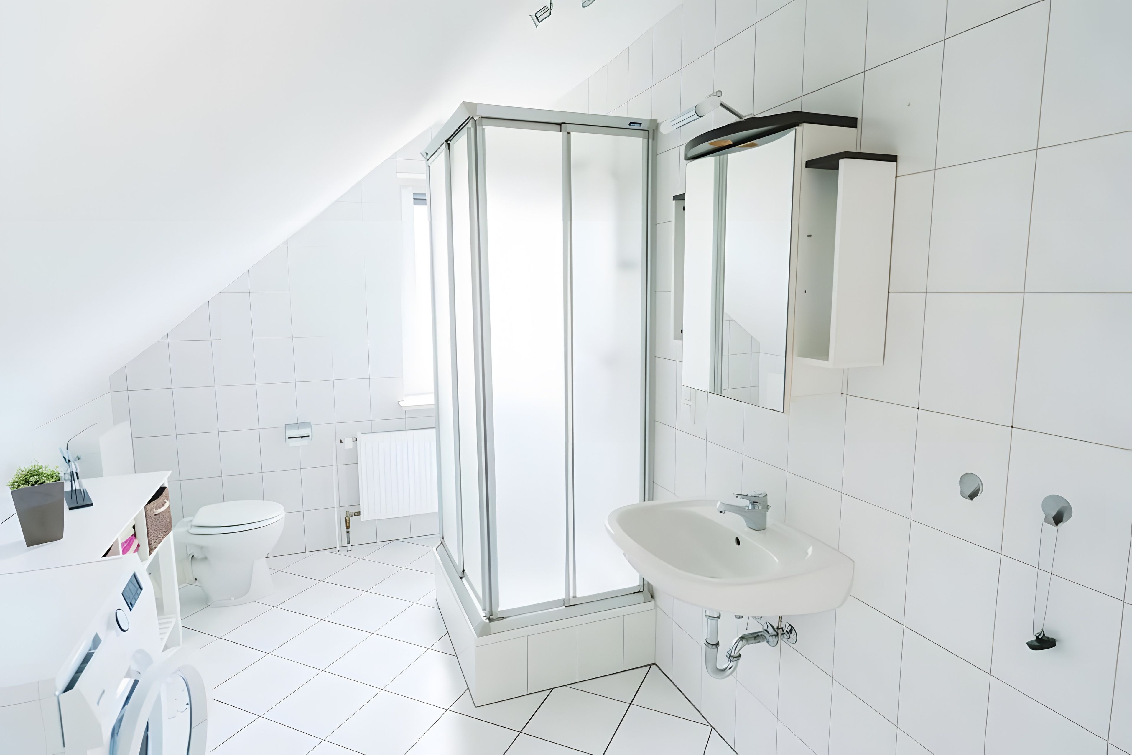 A modern bathroom with a glass shower enclosure, a white sink, and a toilet.