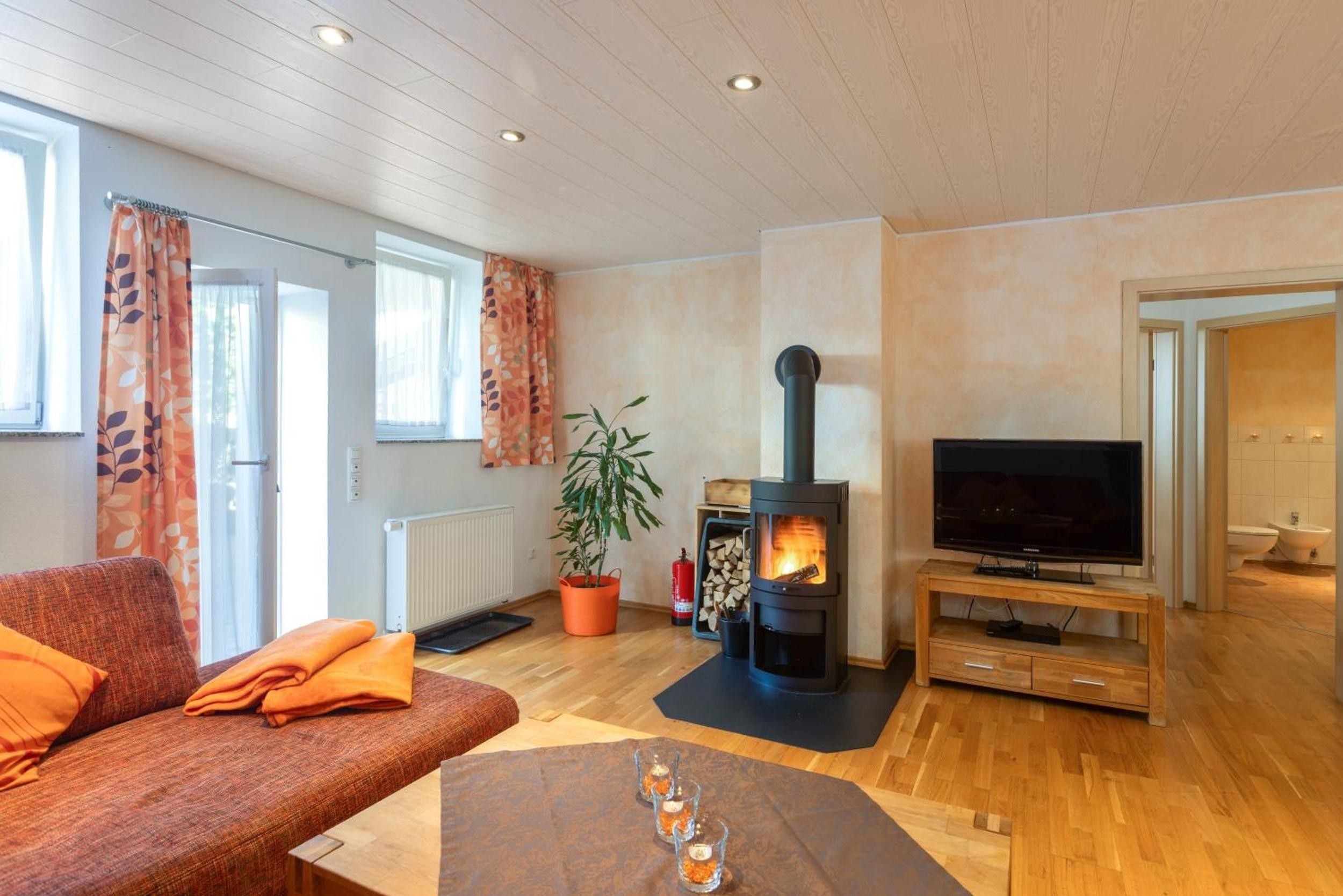 A cozy living room with a sofa, a television, a fireplace, and a potted plant.