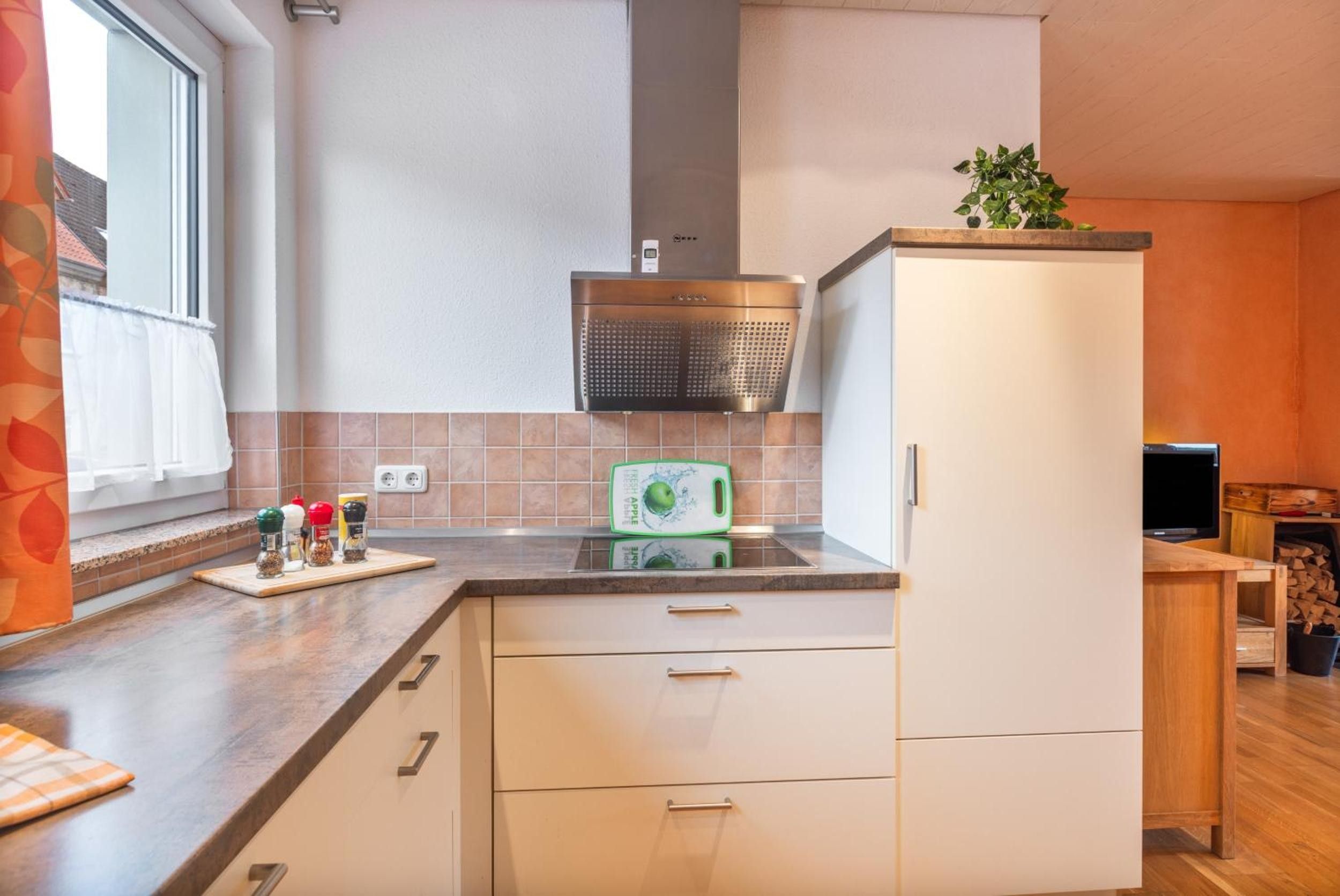 Cocina compacta con extractor de aire empotrado, ventana con cortinas y una pequeña planta en maceta sobre la encimera.