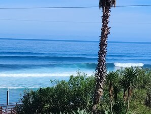 A coastal view with a palm tree and ocean waves. - A breathtaking view, peace, quiet, nature, and of course, great waves! (São Vicente)
