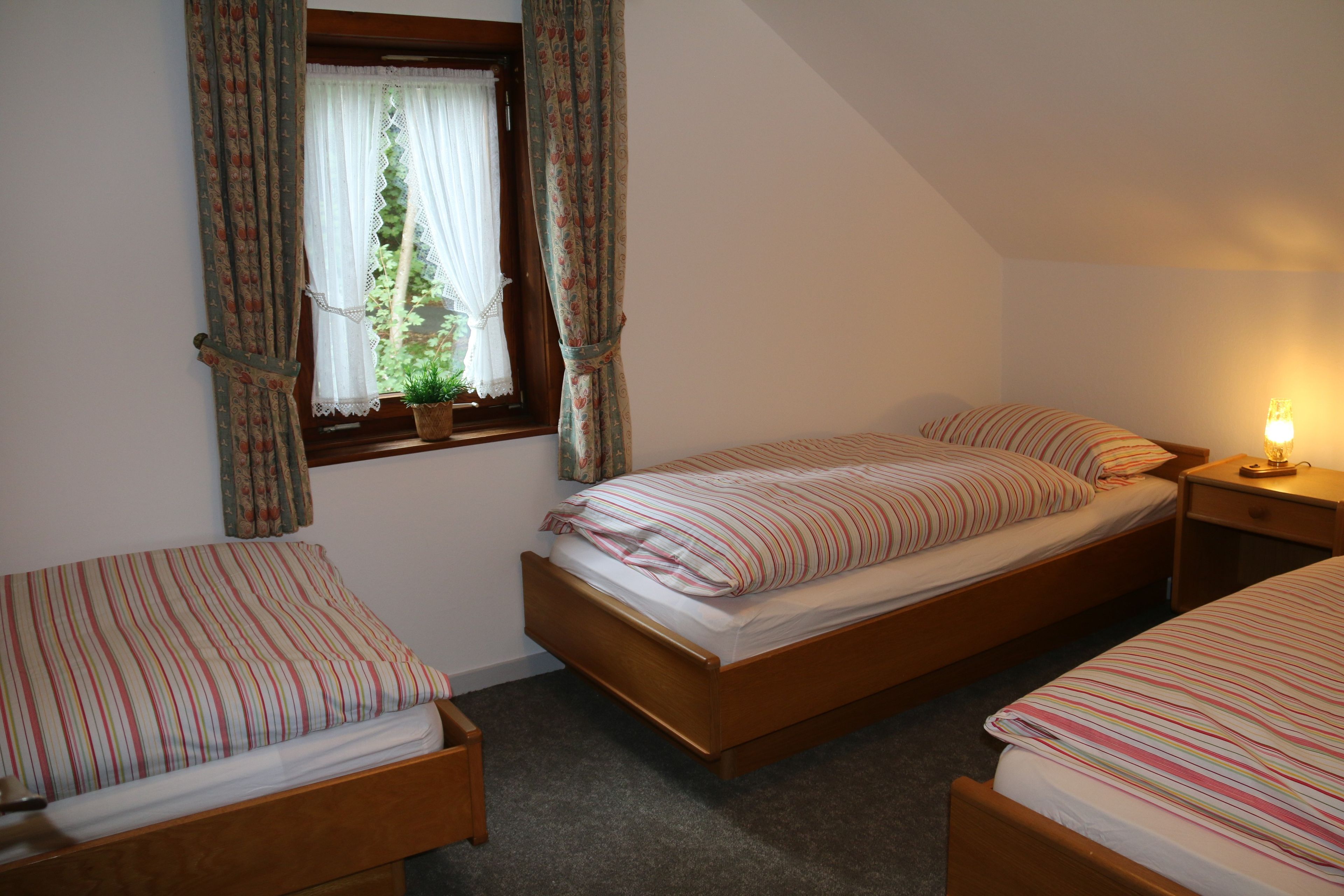 A bedroom with two single beds, a window with curtains, a bedside table with a lamp, and a small potted plant on the windowsill.