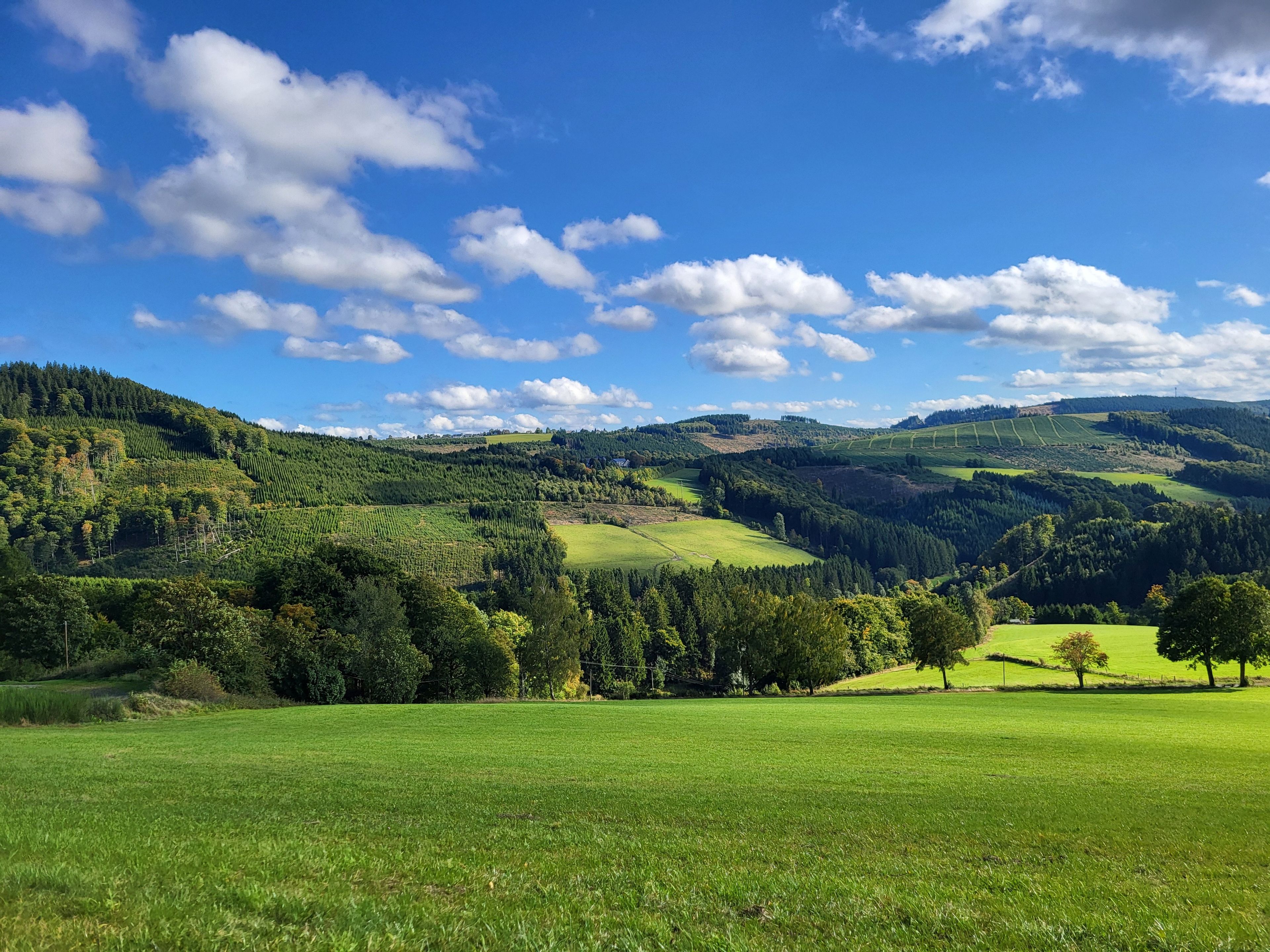 Een weids uitzicht over een weelderig groen dal met glooiende heuvels en verspreide bomen onder een heldere blauwe lucht.