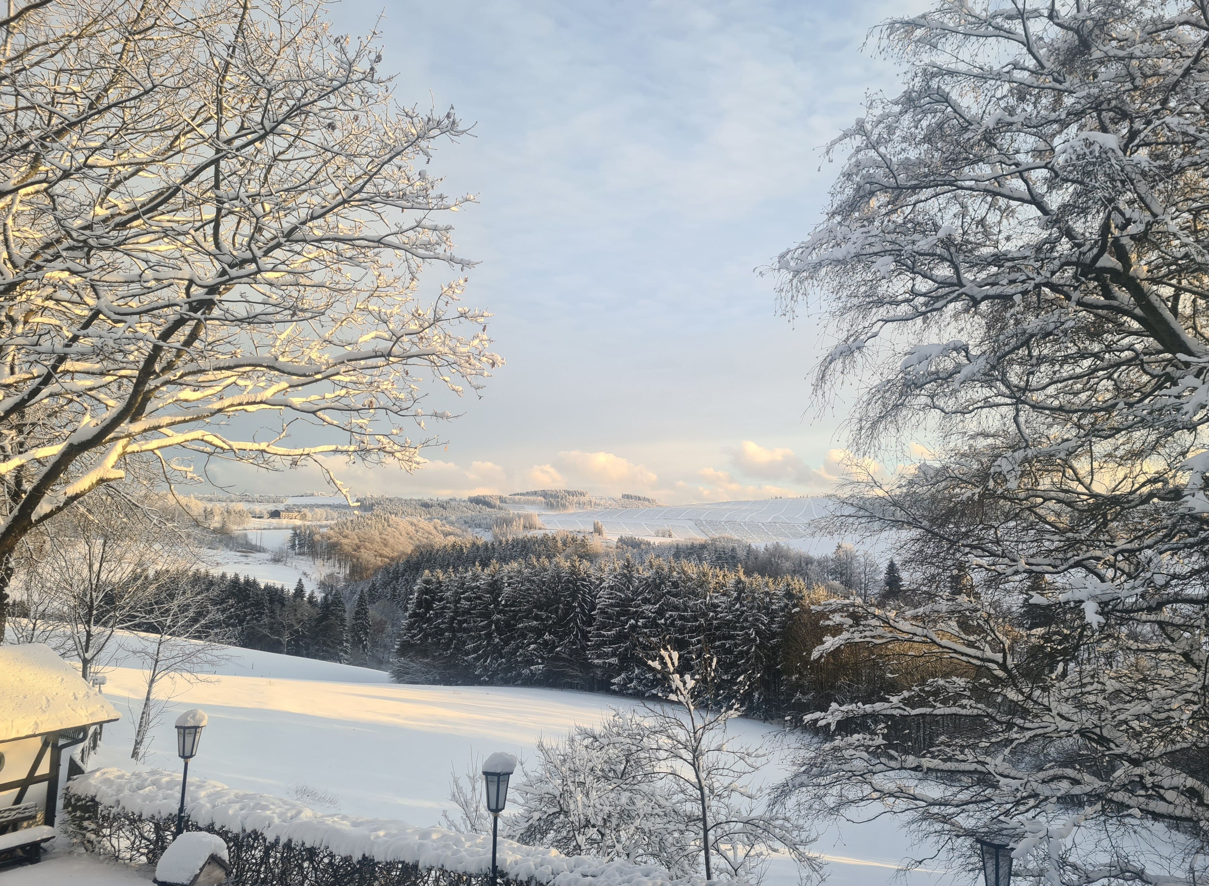 Paesaggio innevato con alberi e una panchina.