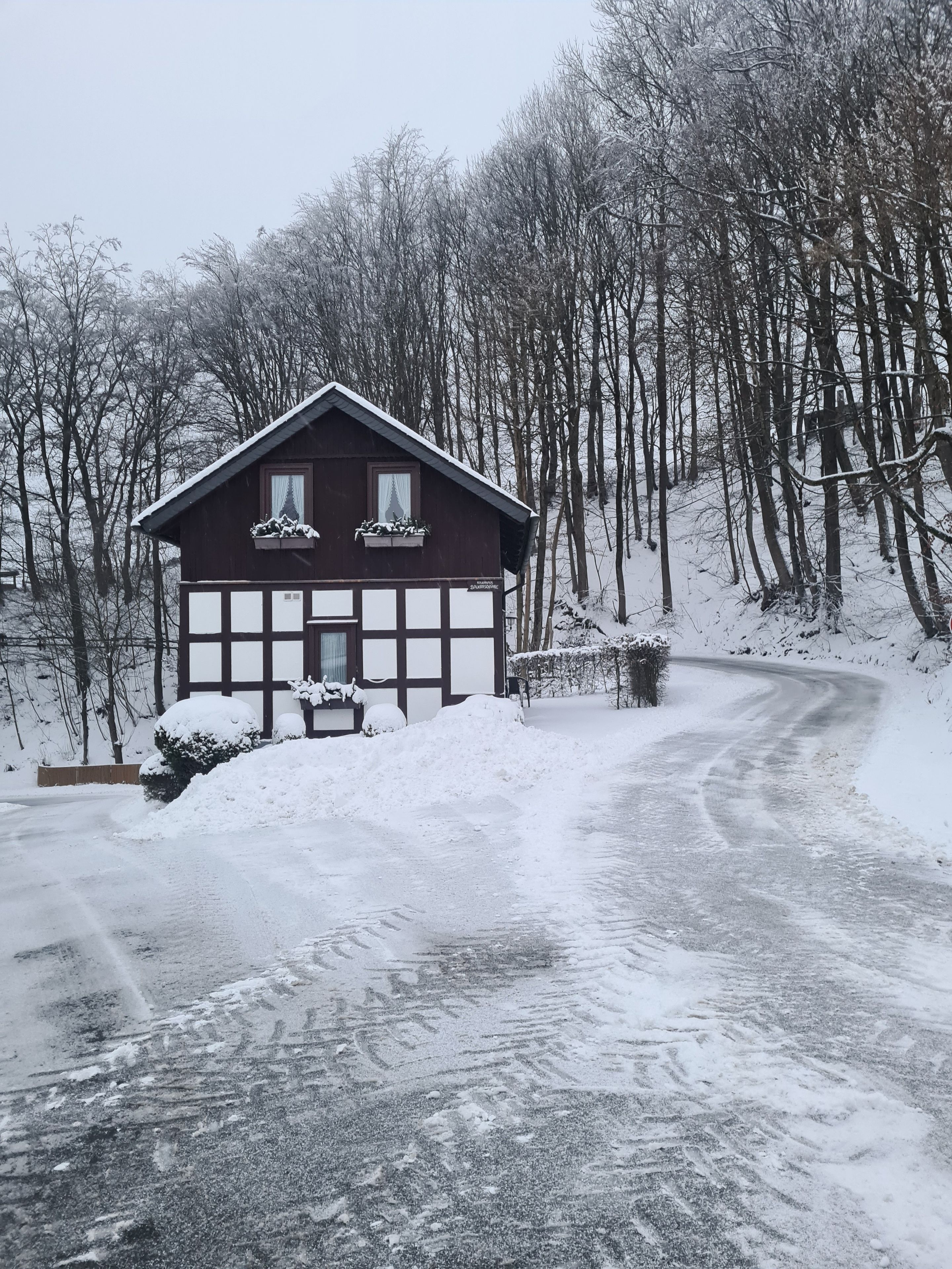 Eine schneebedeckte Hütte mit symmetrischer Fassade, einem gut sichtbaren Eingang und einem umgebenden Wald.