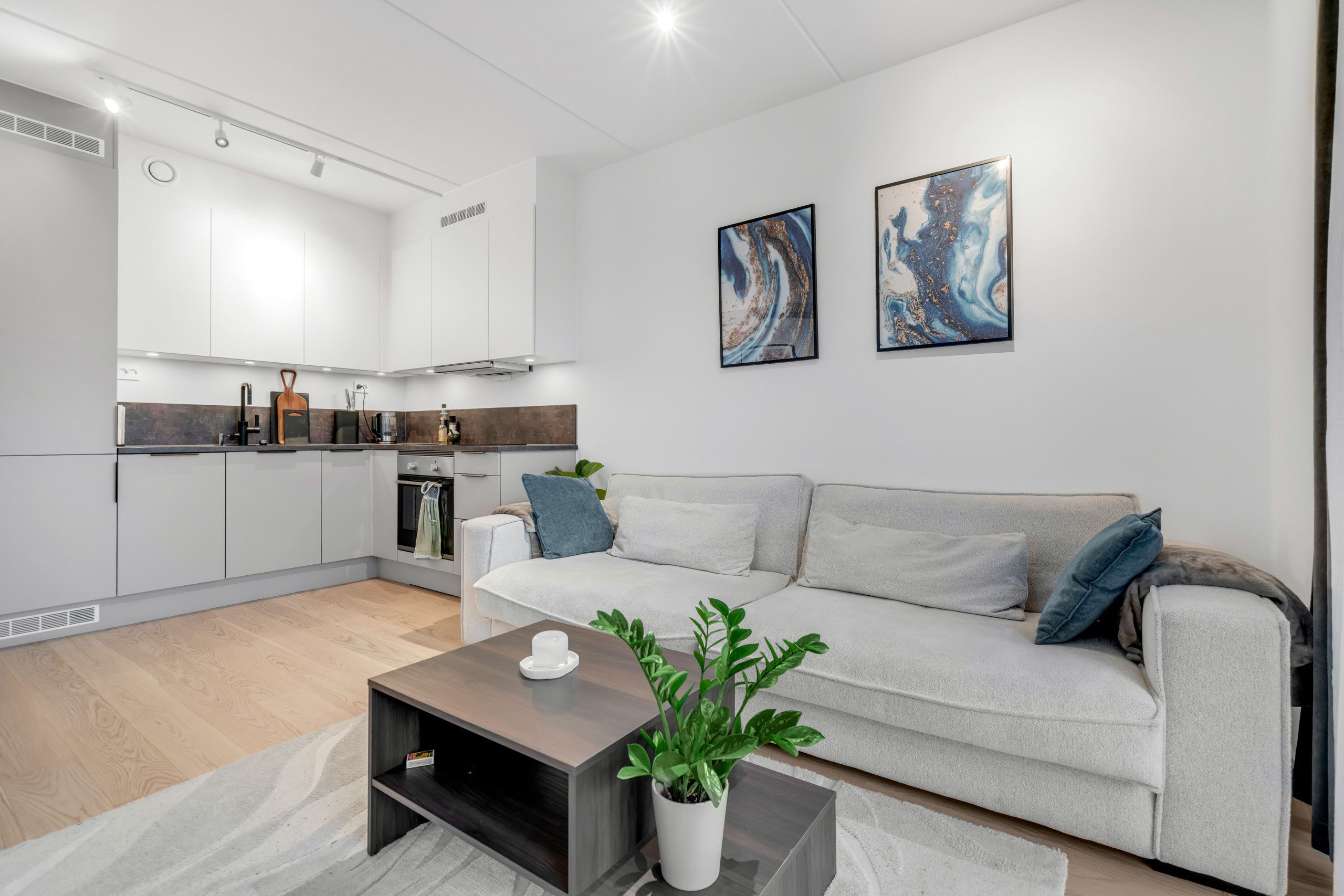 Una sala de estar moderna con un sofá gris, una mesa de centro y una planta en maceta.