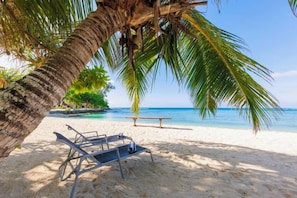 Una playa con una palmera, un banco y una silla de descanso.