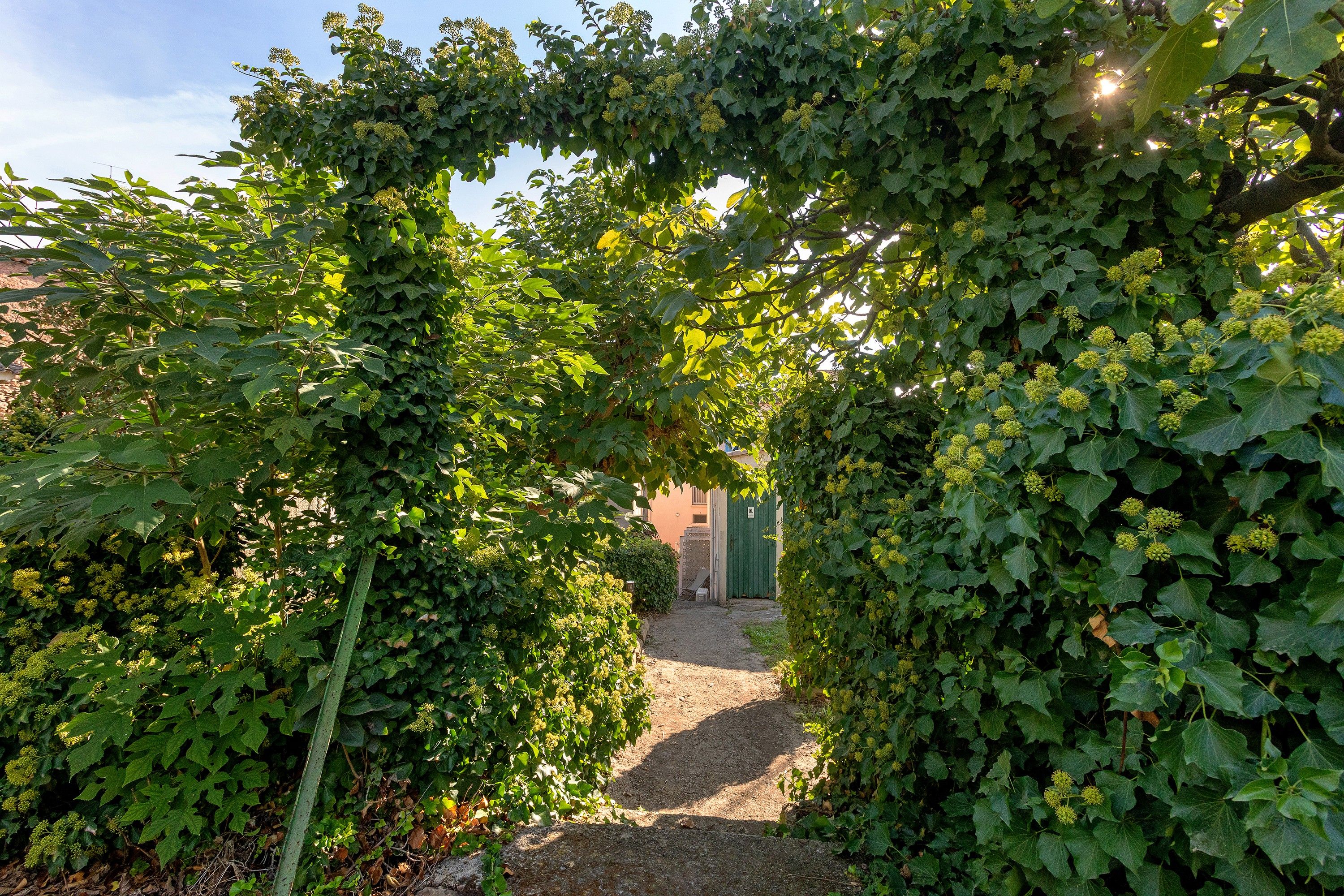 Un camí envoltat de vegetació verda abundant que condueix a un edifici amb una porta verda.