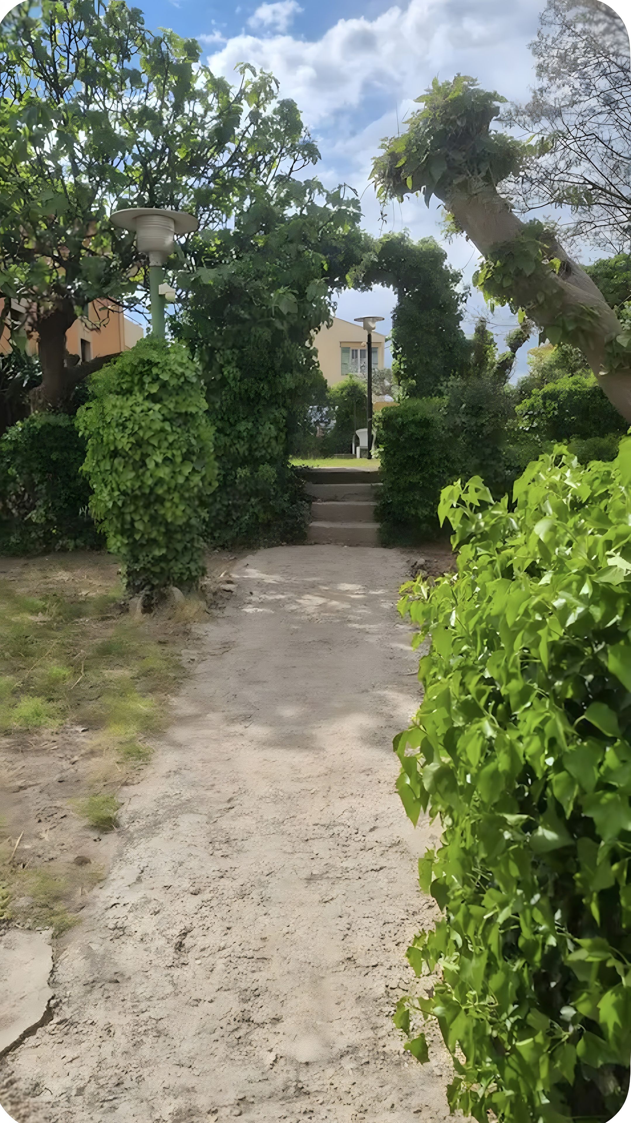 Un chemin pavé menant à l’entrée d’un bâtiment, entouré d’une végétation luxuriante et sous un ciel dégagé.