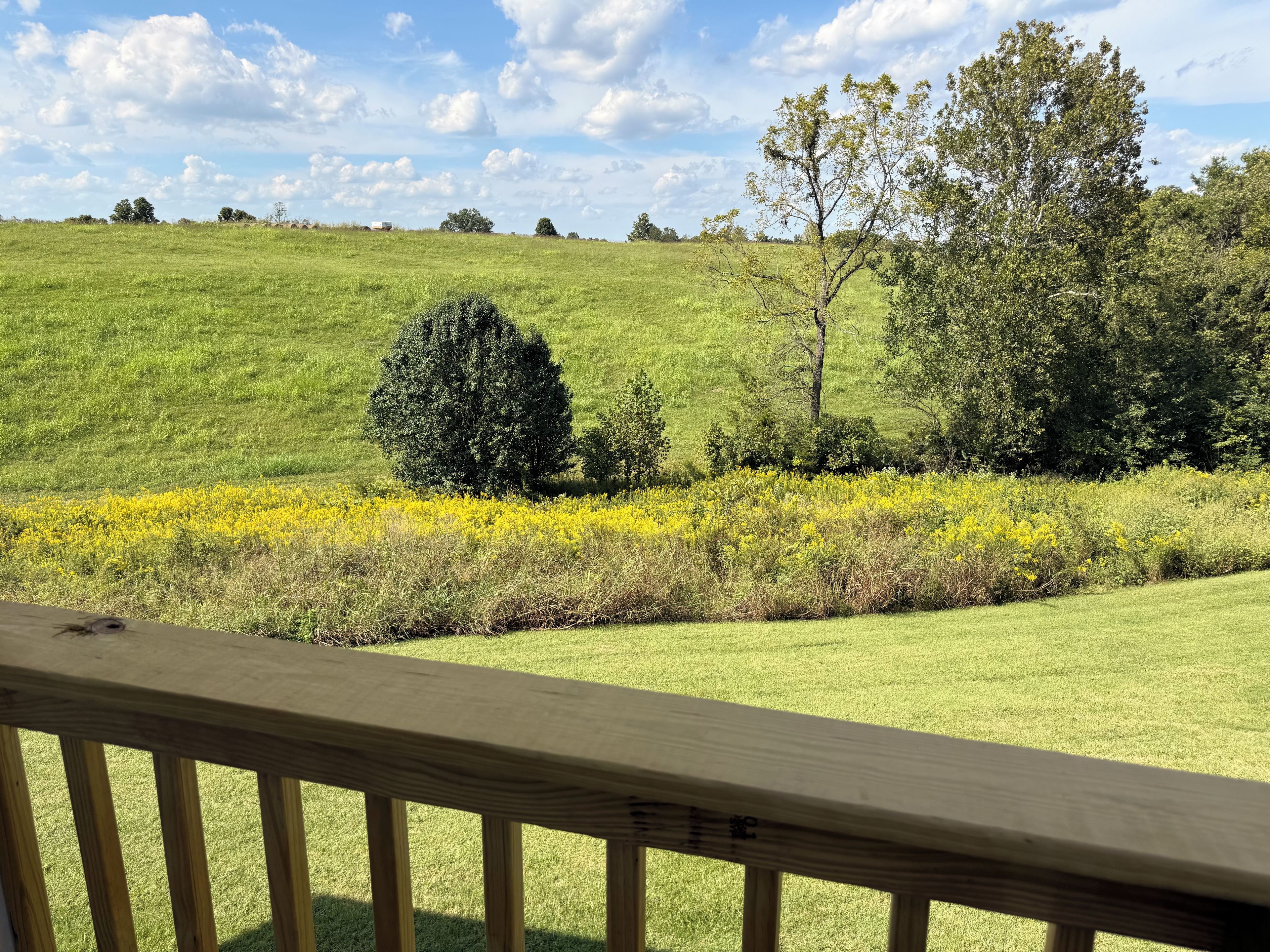 A grassy field with a wooden deck in the foreground.