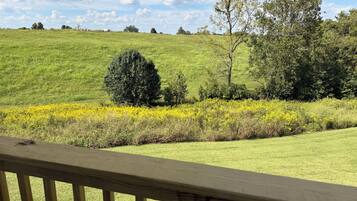 A grassy field with a wooden deck in the foreground.