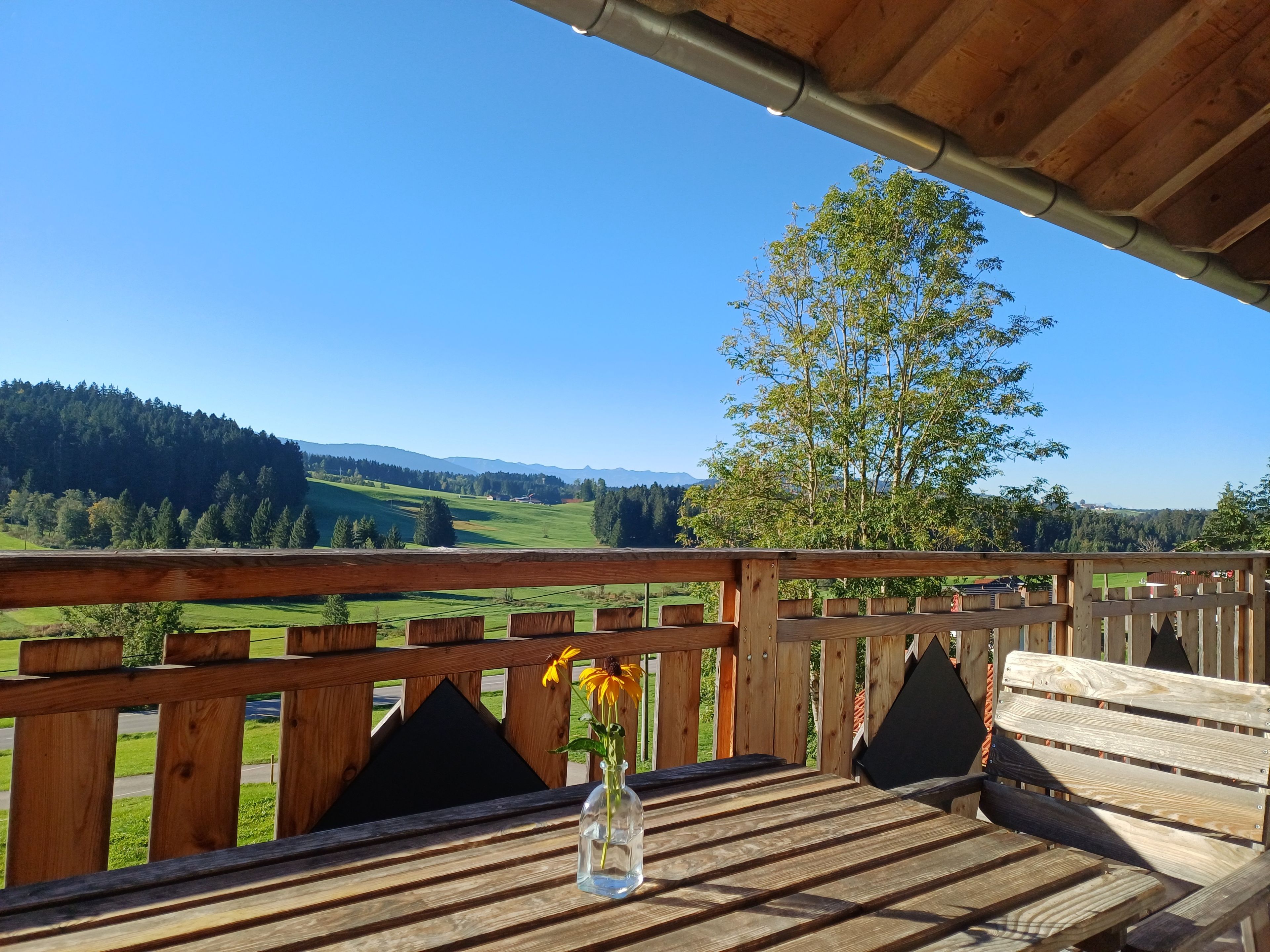 A wooden deck with a clear view of a green landscape and distant mountains.