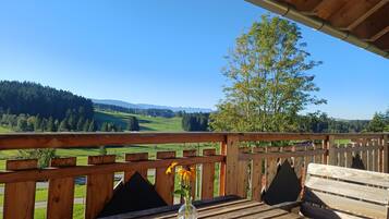 A wooden deck with a clear view of a green landscape and distant mountains.