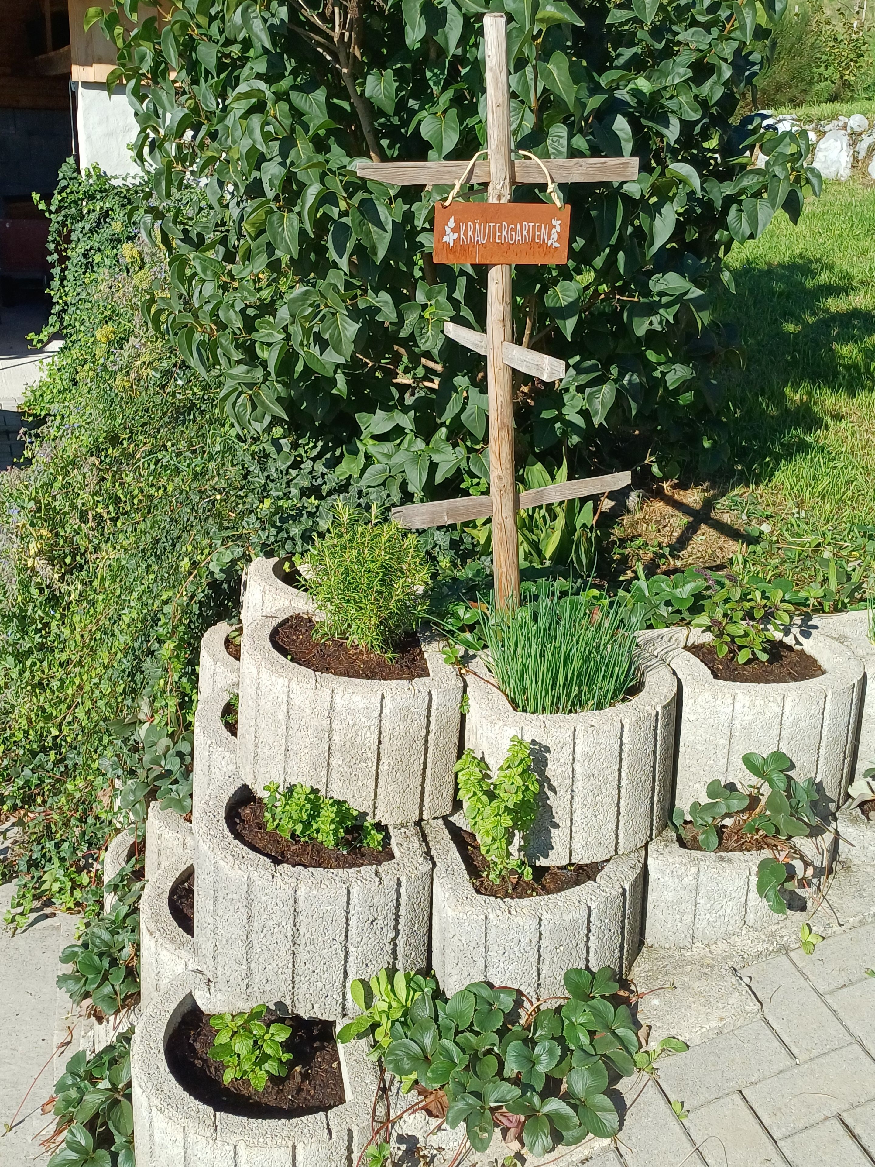 En trädgård med en träskylt och upphöjda rabatter som innehåller olika växter.