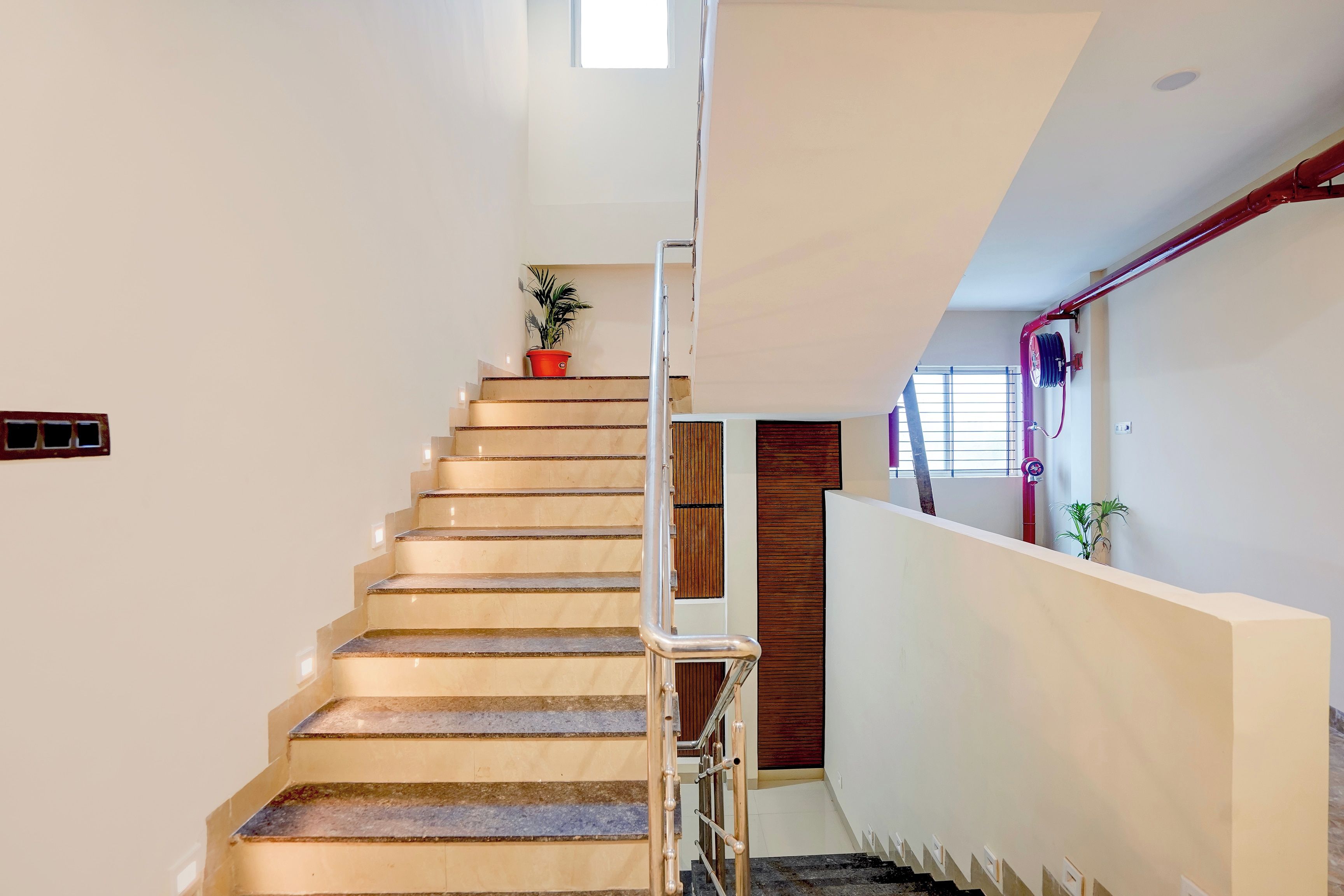 A staircase with a handrail, a potted plant, and a door at the top.