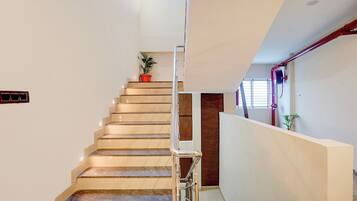 A staircase with a handrail, a potted plant, and a door at the top.